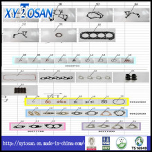 Dichtungssatz für Nissan Zd30 / ED33 / Ga16 / Z24 / 3vz / Ne6